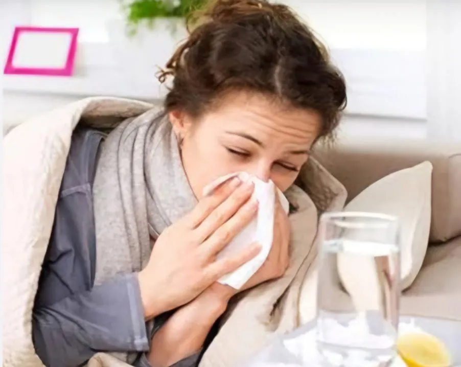 Odor Removal FL